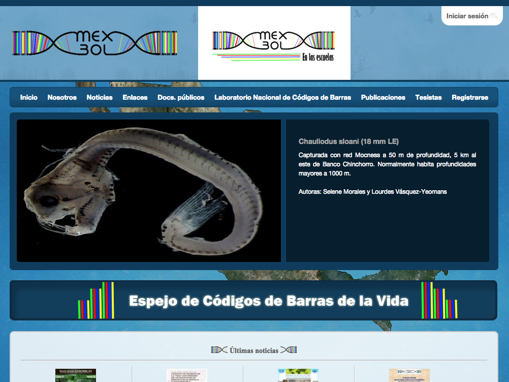 Código de barras de la vida