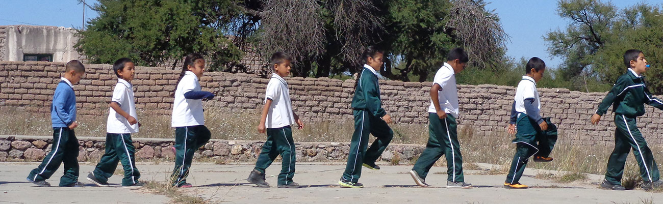 Red Temática de Investigación de Educación Rural